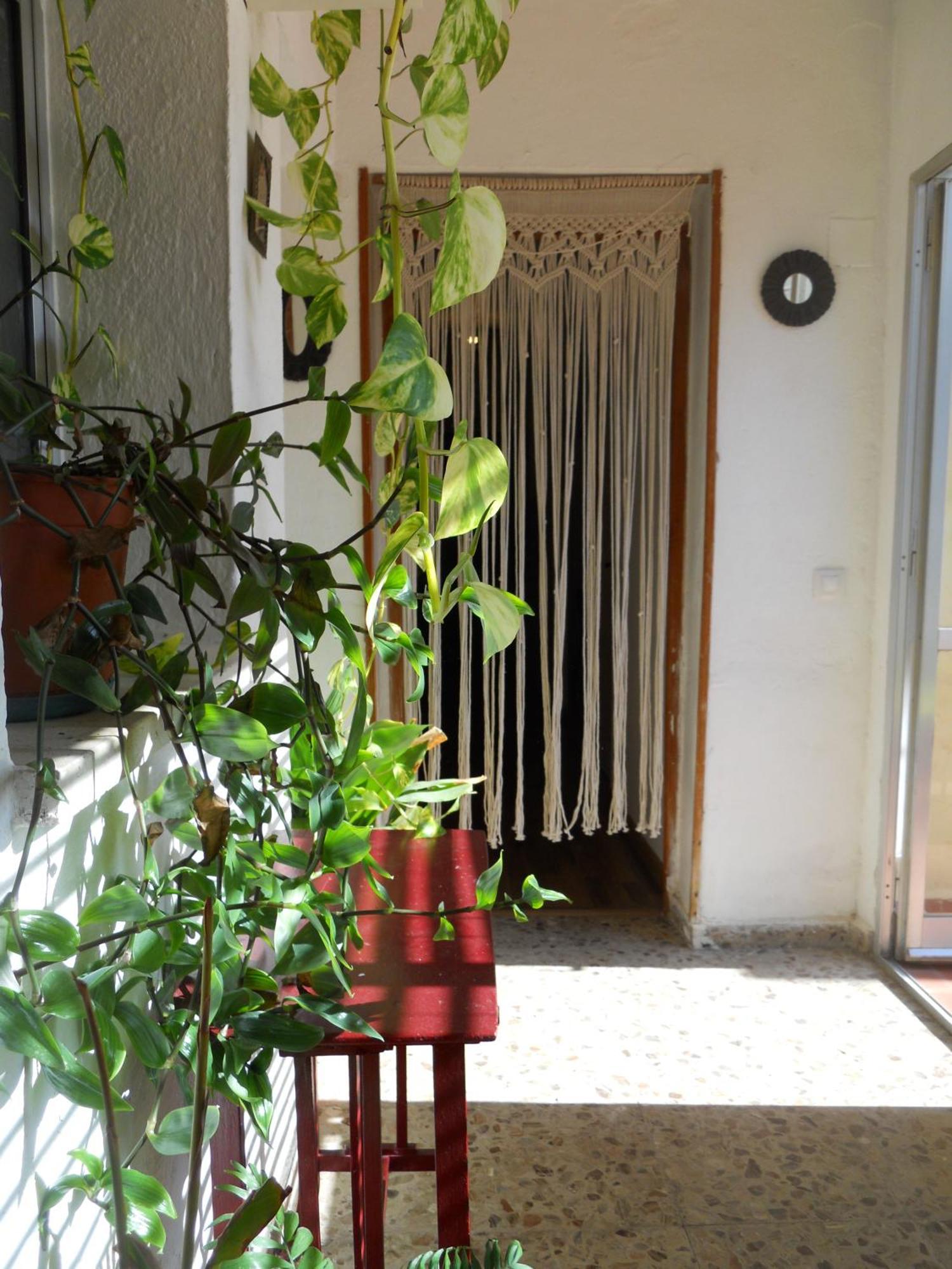 Naturalia: La Casita Con Patio Касерес Экстерьер фото