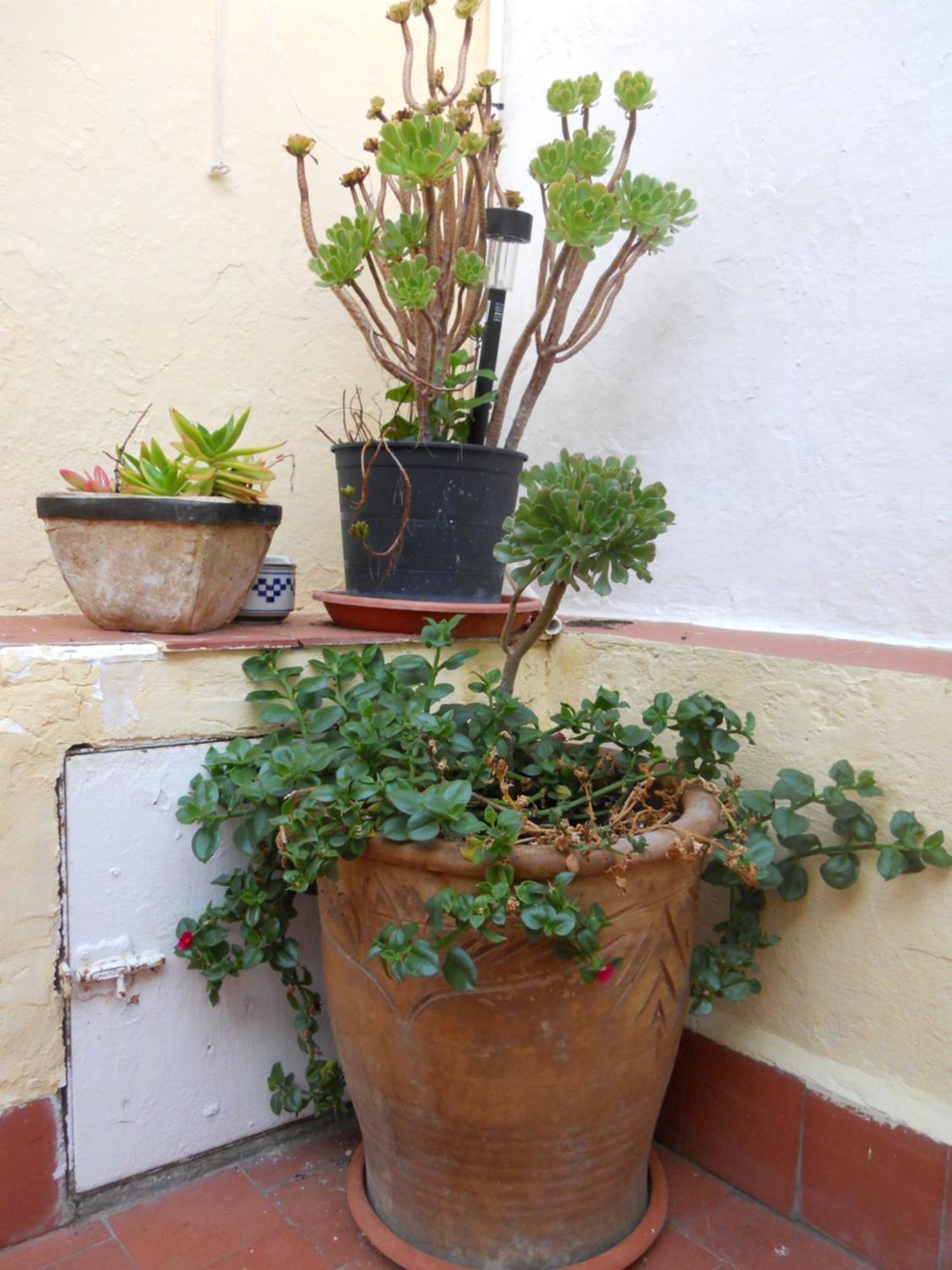 Naturalia: La Casita Con Patio Касерес Экстерьер фото